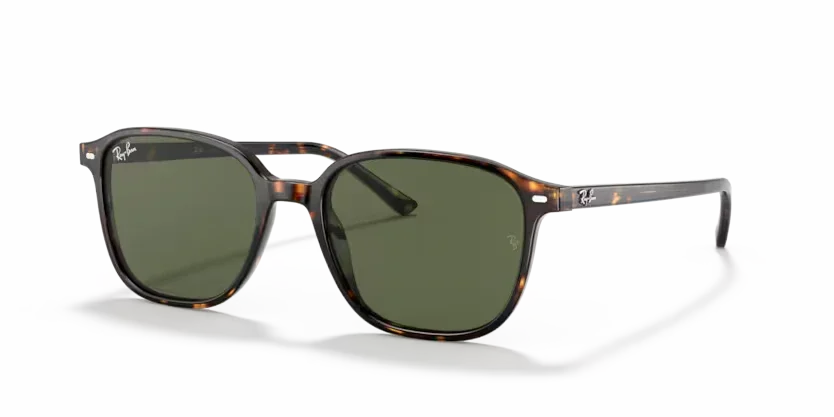 Ray-Ban | 2193 Leonard | Tortoise