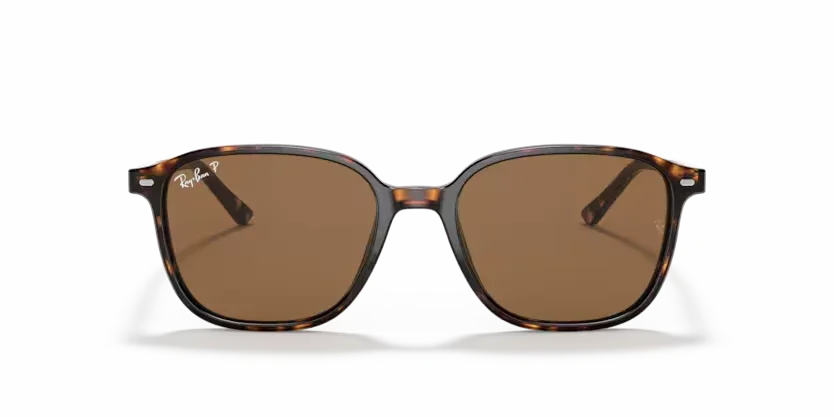 Ray-Ban | 2193 Leonard | Tortoise