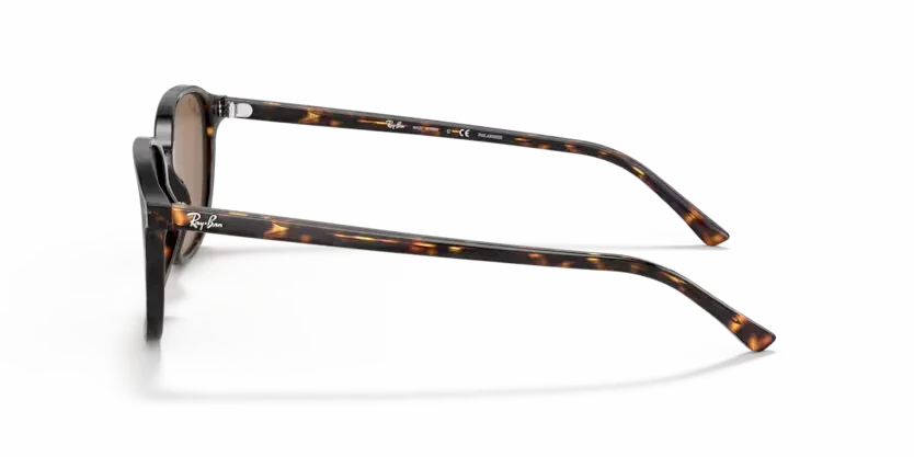 Ray-Ban | 2193 Leonard | Tortoise