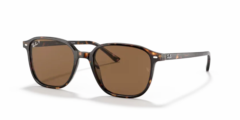 Ray-Ban | 2193 Leonard | Tortoise