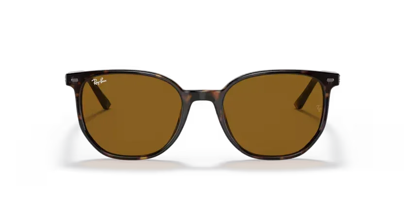 Ray-Ban | 2197 Elliot | Striped Brown & Green