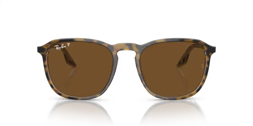 Ray-Ban | 2203 | Havana