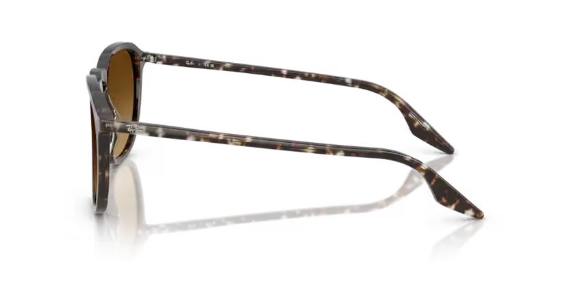 Ray-Ban | 2203 | Havana Yellow Tortoiseshell