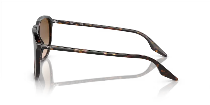 Ray-Ban | 2203 | Havana