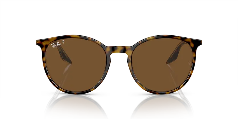 Ray-Ban | 2203 | Havana On Transparent