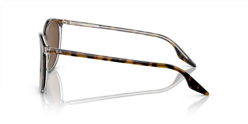 Ray-Ban | 2203 | Havana On Transparent