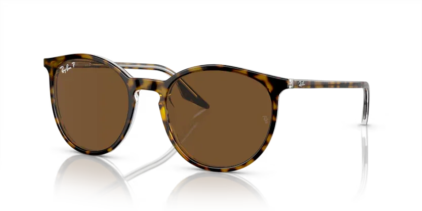 Ray-Ban | 2203 | Havana On Transparent