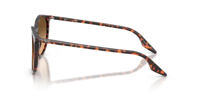 Ray-Ban | 2204 | Havana Red Tortoiseshell
