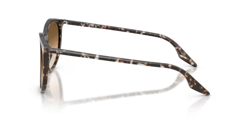 Ray-Ban | 2204 | Havana Yellow Tortoiseshell