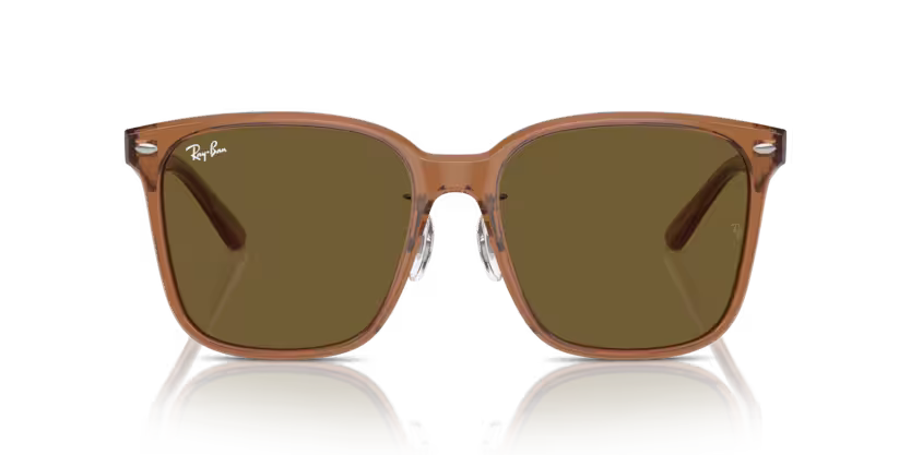 Ray-Ban | 2206D | Transparent Brown