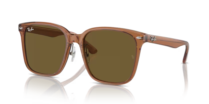 Ray-Ban | 2206D | Transparent Brown