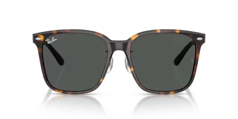 Ray-Ban | 2206D | Havana
