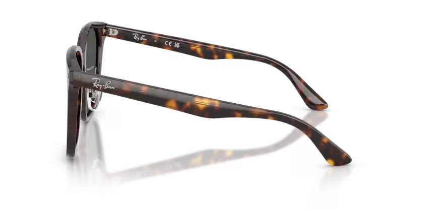 Ray-Ban | 2206D | Havana