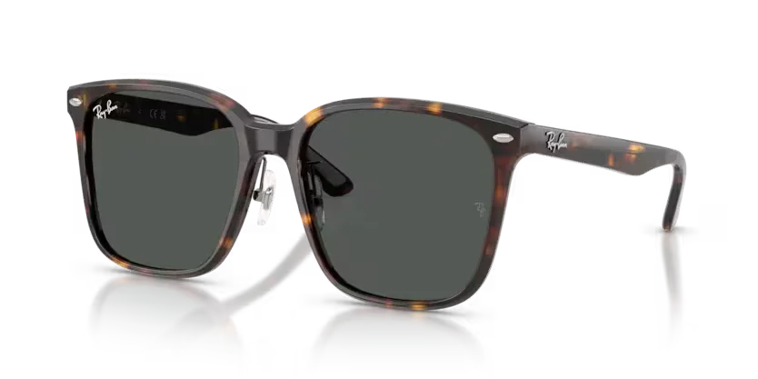 Ray-Ban | 2206D | Havana