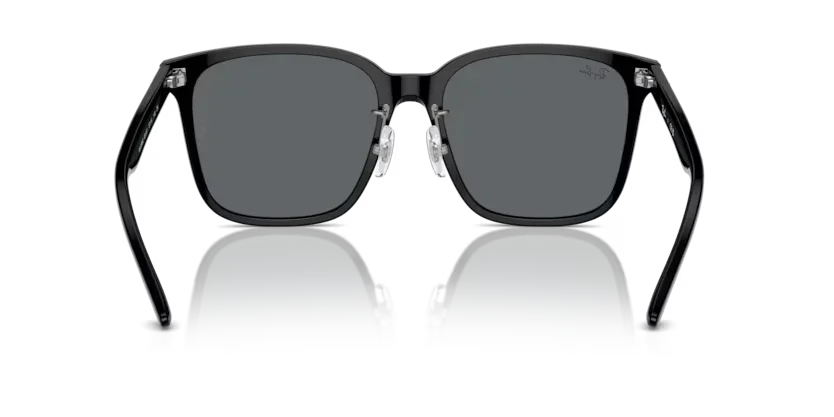 Ray-Ban | 2206D | Black