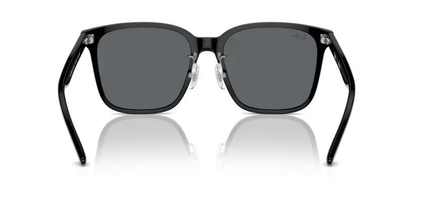 Ray-Ban | 2206D | Black