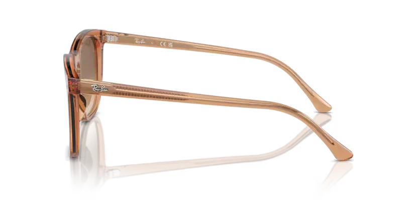 Ray-Ban | 2210F | Transparent Brown