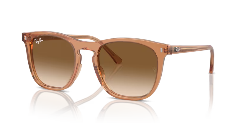 Ray-Ban | 2210F | Transparent Brown