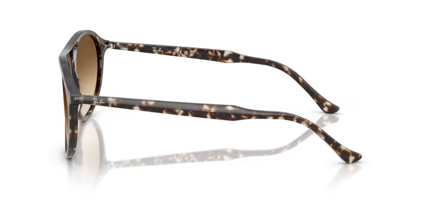 Ray-Ban | 2215 | Havana Yellow Tortoiseshell