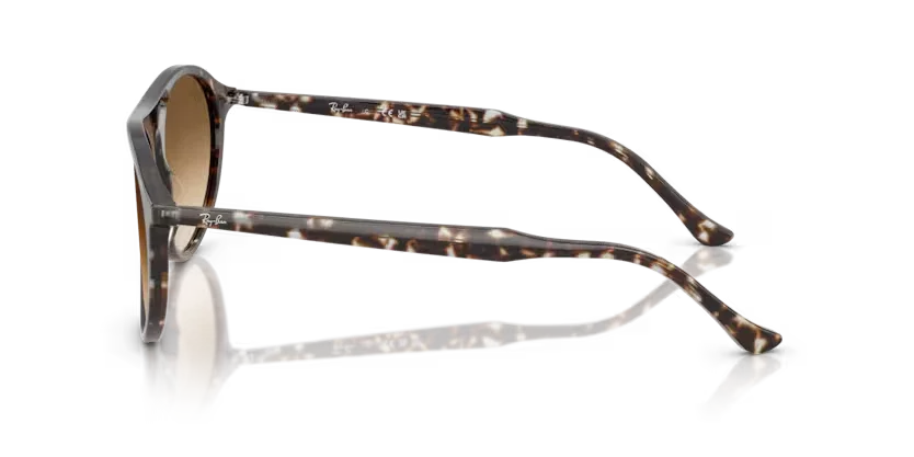 Ray-Ban | 2215 | Havana Yellow Tortoiseshell