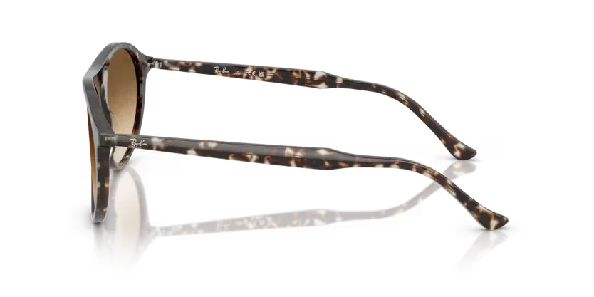 Ray-Ban | 2215 | Havana Yellow Tortoiseshell