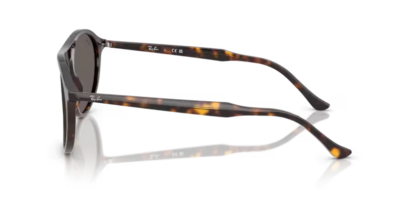 Ray-Ban | 2215 | Havana