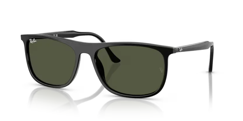 Ray-Ban | 2216F | Black