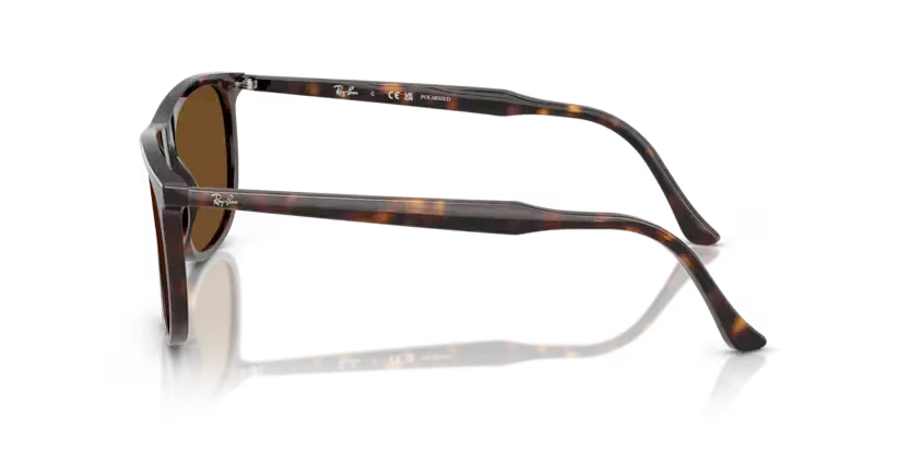 Ray-Ban | 2216F | Havana