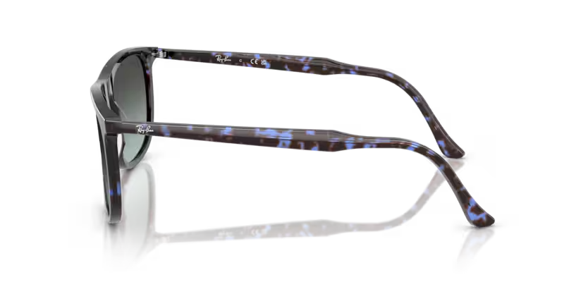 Ray-Ban | 2216 | Havana Blue Tortoiseshell