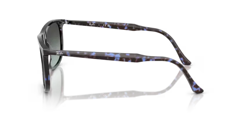 Ray-Ban | 2216 | Havana Blue Tortoiseshell