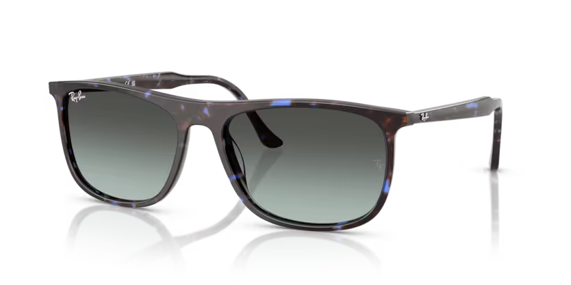Ray-Ban | 2216 | Havana Blue Tortoiseshell