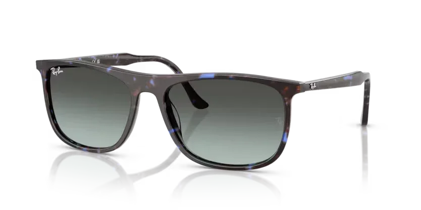 Ray-Ban | 2216 | Havana Blue Tortoiseshell