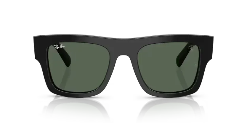 Ray-Ban | 2217M | Black