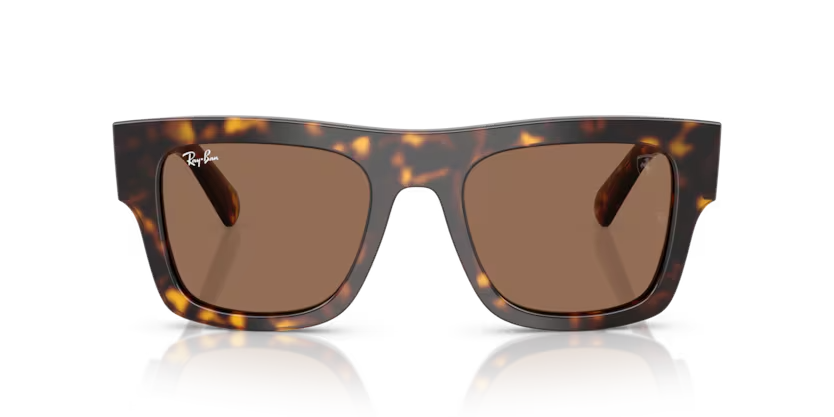 Ray-Ban | 2217M | Havana