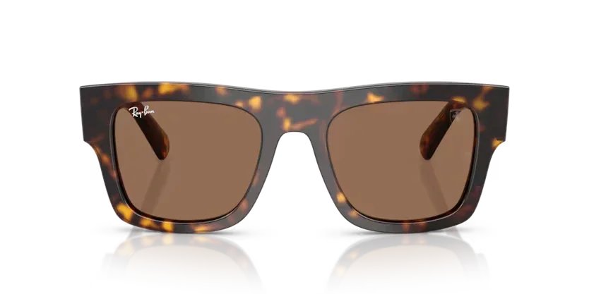 Ray-Ban | 2217M | Havana