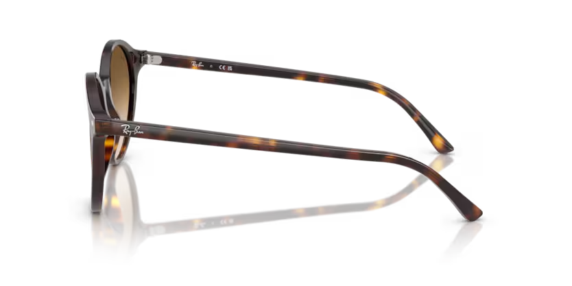 Ray-Ban | 2230 Bernard | Havana