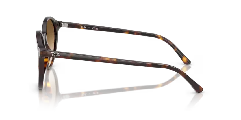 Ray-Ban | 2230 Bernard | Havana