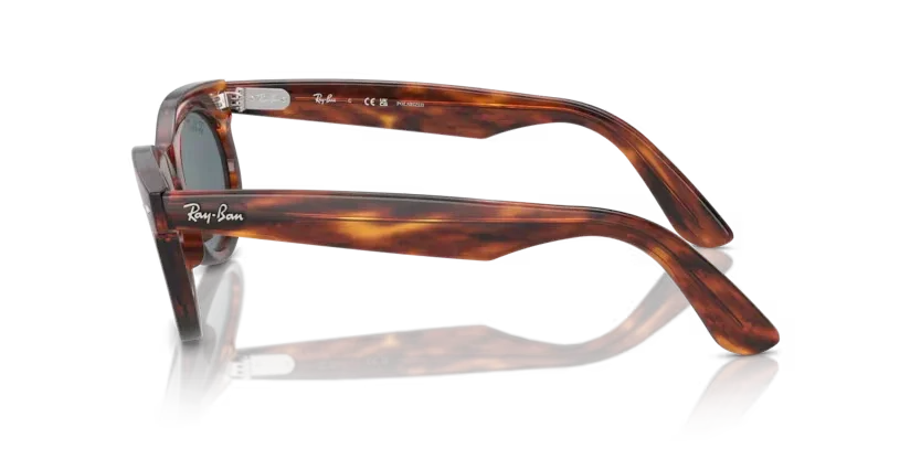 Ray-Ban 2242F Wayfarer Oval | Striped Havana