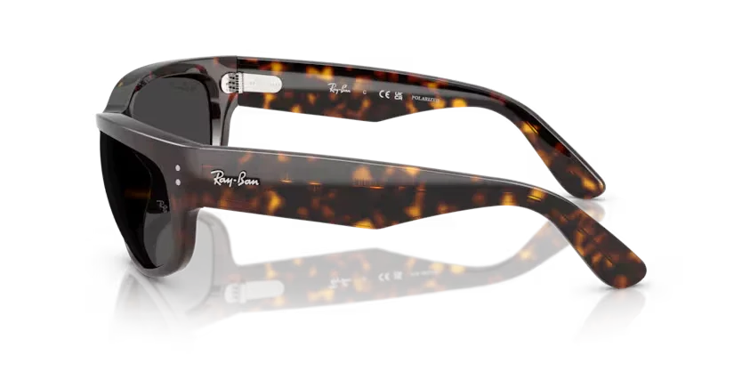 Ray-Ban | 2289 Mega Balorama | Havana