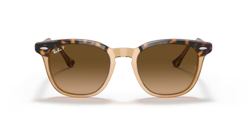 Ray-Ban | 2298F Hawkeye | Havana on transparent brown