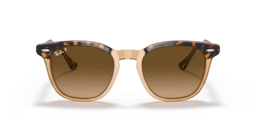 Ray-Ban | 2298F Hawkeye | Havana on transparent brown