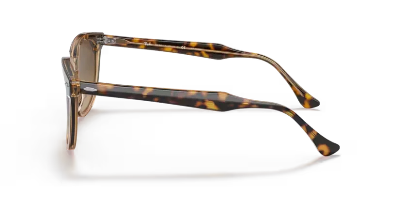 Ray-Ban | 2298F Hawkeye | Havana on transparent brown