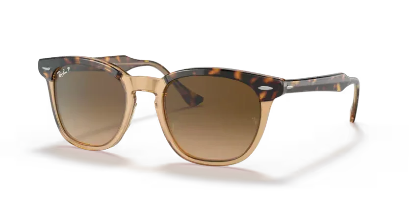 Ray-Ban | 2298F Hawkeye | Havana on transparent brown