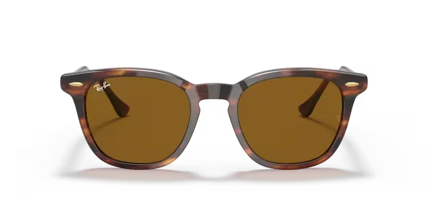 Ray-Ban | 2298 Hawkeye | Striped Havana