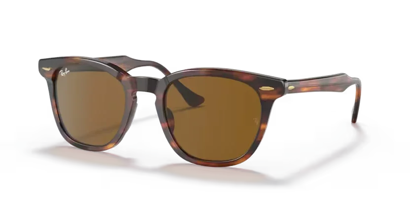 Ray-Ban | 2298 Hawkeye | Striped Havana