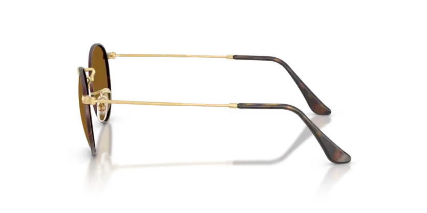 Ray-Ban | 3447 Round Metal | Matt Havana On Matt Arista Gold