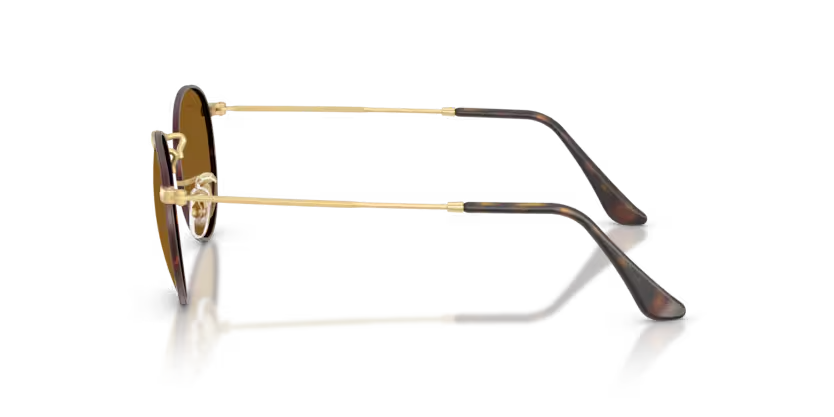 Ray-Ban | 3447 Round Metal | Matt Havana On Matt Arista Gold