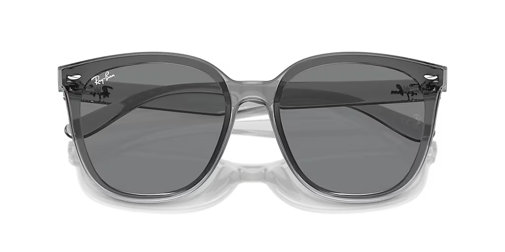 Ray-Ban | RB4423D | Grey Brown