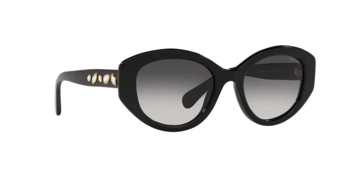 Swarovski | 6005 | Black - iKANDi Sunglasses