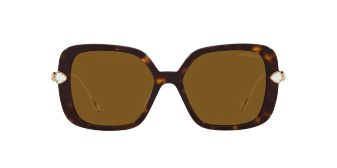 Swarovski | 6011F | Havana Polarised - iKANDi Sunglasses